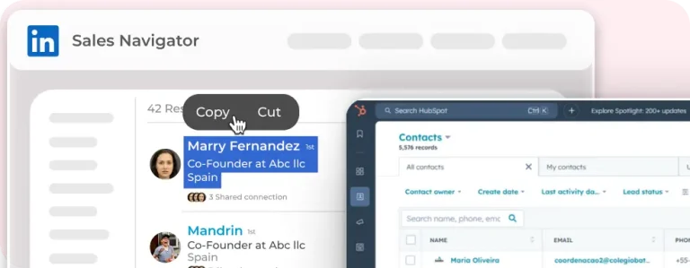 Without LeadCRM